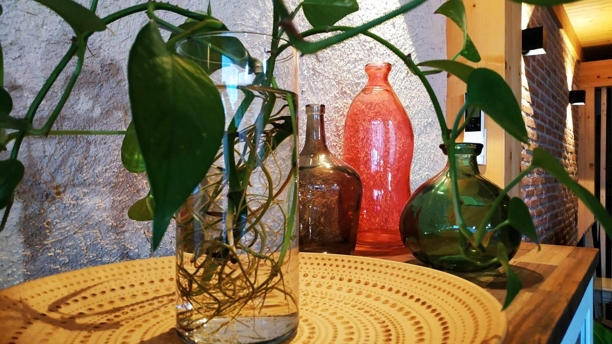 La Mona Casa Rural ルエダ エクステリア 写真